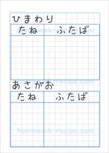 ひまわりとあさがおのたねb