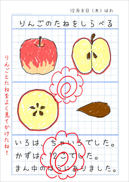 りんごの家庭学習ノート完成