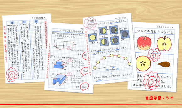 無料ダウンロード4年生 理科自主学習 最高のぬりえ