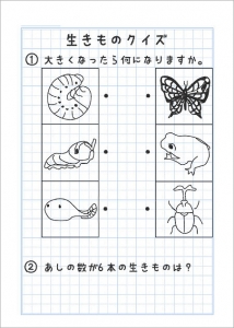 ２年生の自主学習ノート画像一覧 家庭学習レシピ